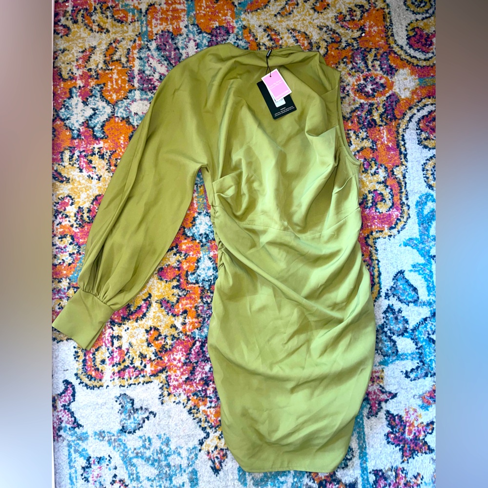 Pretty little thing on sleeve dress
